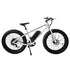 Burch Electric Mountain Bike Eagle
